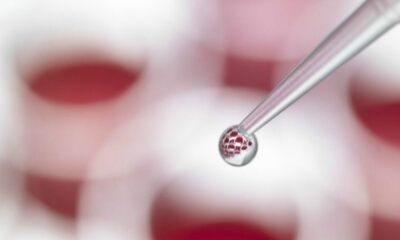 独创治疗糖尿病的创新疗法，天河生物致力于打造国内领先的糖尿病治疗产业平台