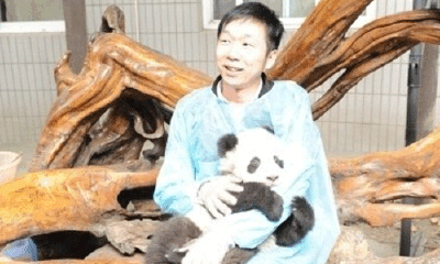 往事：熊猫烧香作者李俊来京求职被多家杀毒企业拒绝