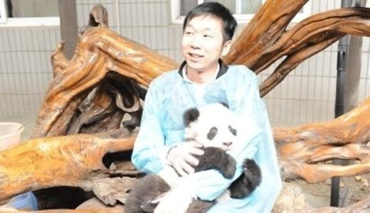 往事：熊猫烧香作者李俊来京求职被多家杀毒企业拒绝