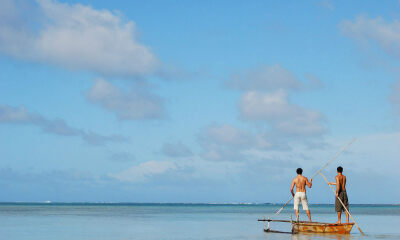大观资本范路：我们为何专注于“出海”领域投资