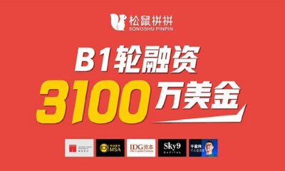 社区拼团电商平台松鼠拼拼新获3100万美元B1轮融资