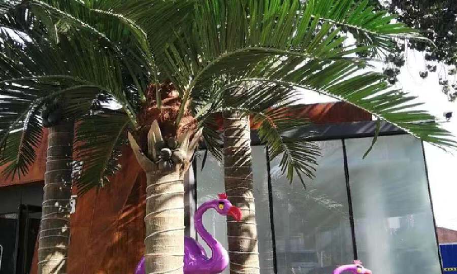 星库空间-梦谷国际艺术创意园区