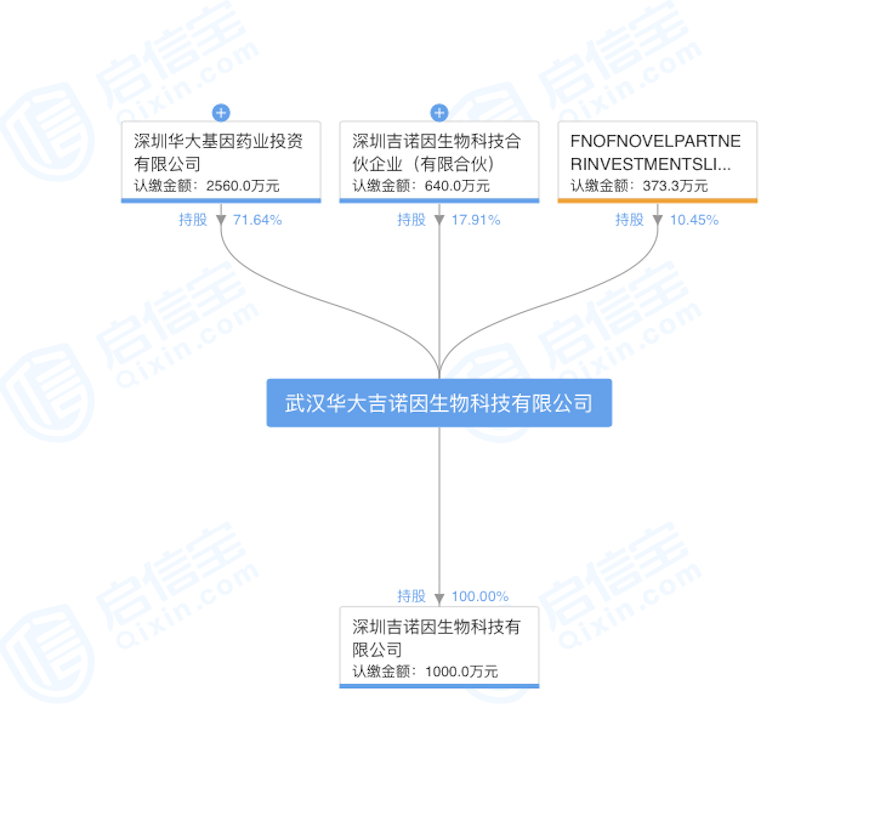 武汉华大吉诺因生物科技有限公司股权结构.png