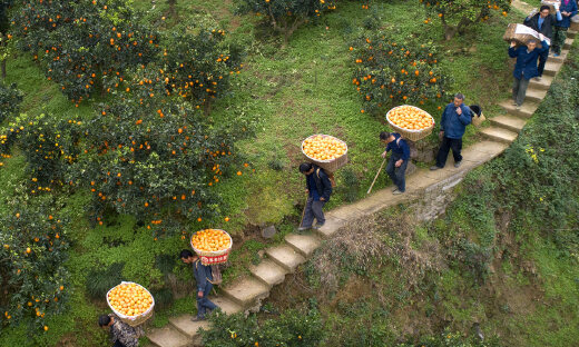 抓住这三个关注点，农业科技投资势在必行