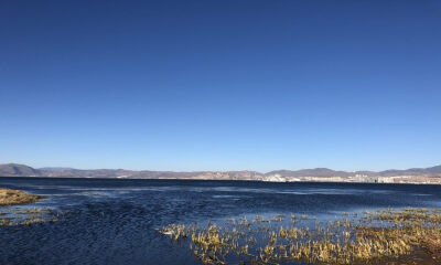 6部短视频总播放量突破2500万，当夏创意从“精准扶贫”切入短视频内容赛道