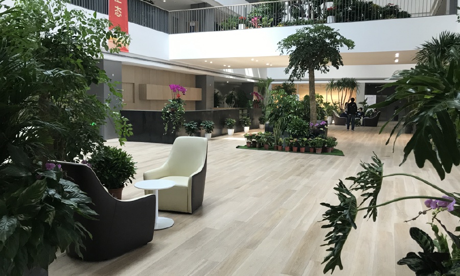 北京立云加速器