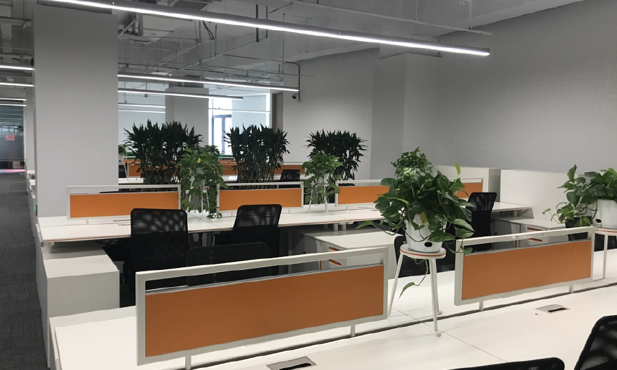 北京立云加速器