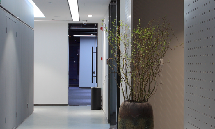 盛趣游戏加速器