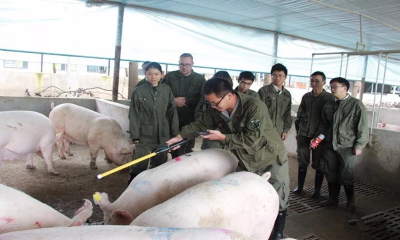 天眼查：饲料行业加速洗牌，我国近十年饲料相关企业注册增速稳定在8%左右