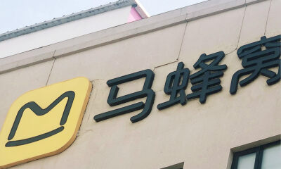 IPO之路上，是谁捅了马蜂窝？