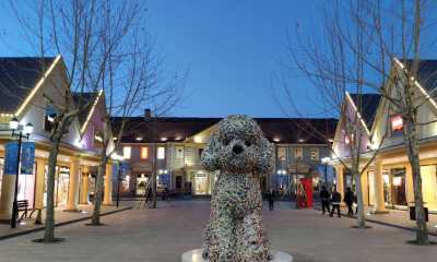 如何成为百货业幸存者