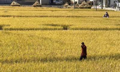 致力于农村基础设施建设，瑞因智控获百万级别种子轮投资