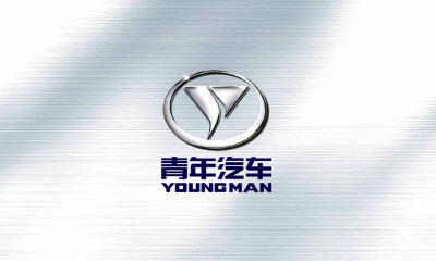 青年汽车产销任务:南阳政府至少需帮卖12亿元的车