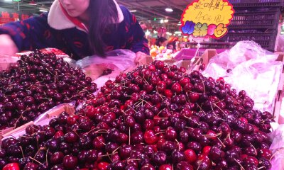 樱桃成熟时，电商混战原产地