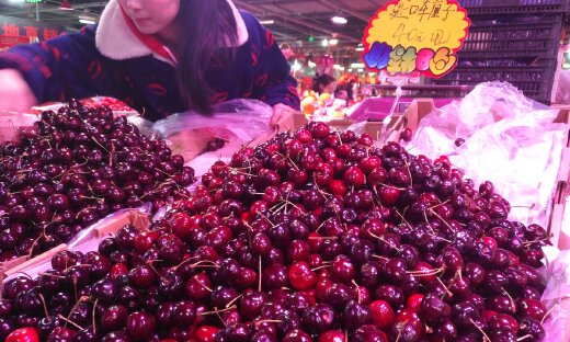 车厘子自由，自2万公里外而来