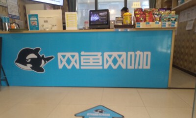 王思聪救不了中国网吧