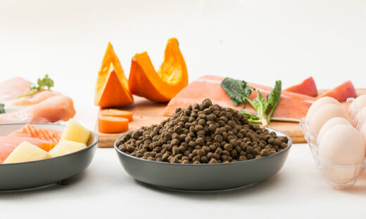 以信用为食品安全溯源保驾，信易食安让消费者和更多的“熟人”买东西