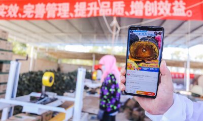 聚划算携手甘肃：打造10大“甘味”农产品、赋能10万亩农业基地