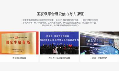 以全产业链搭建国家生猪海南交易市场，农数科技构建M2B猪流通新模式