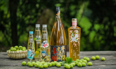 90后撑起千亿级“微醺”市场，红杉、高瓴、IDG、经纬已入局