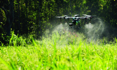 专注于无人机市场运营，中农航服或将跑出行业新赛道？