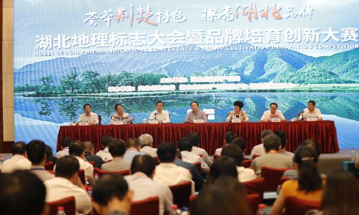 首届湖北地理标志大会暨品牌培育创新大赛召开，探索做强湖北特色品牌