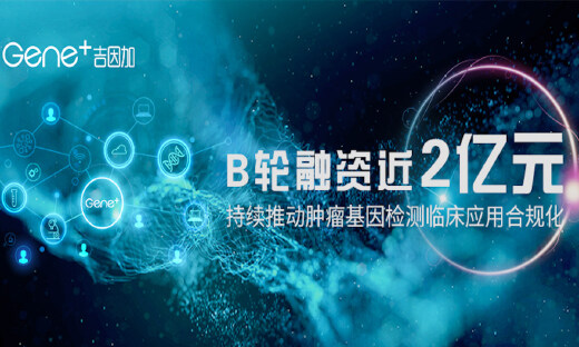 专注肿瘤精准医疗，吉因加完成近2亿元B轮融资，基石资本领投