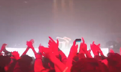 为了做网红，我放弃了博士学位