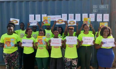 双11中国吃货助非洲果农增收，天猫国际带火乌干达芒果干