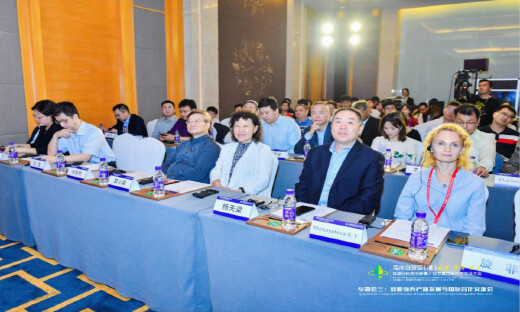 OneWeb确认在海南建亚洲首个卫星地面站，商业航天产业发展与国际合作交流会顺利召开