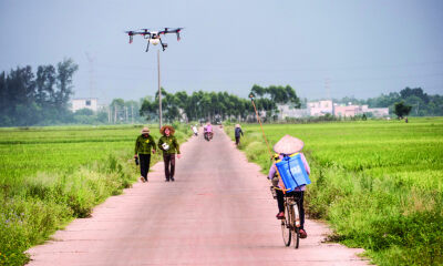 智领兴农、溯保质安，金垦赛博做海南走出去的智慧农业平台
