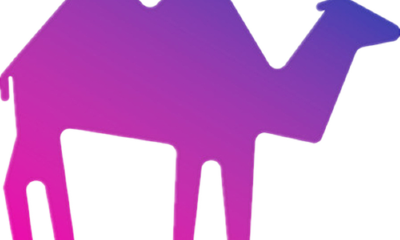 一键扫脸轻松回家，骆驼寻人已帮助200余个家庭重新团聚