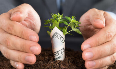 黄磊何炅第一次合体做LP