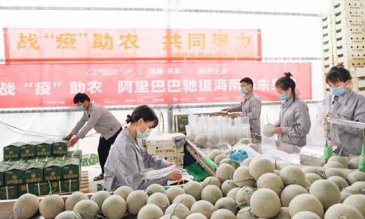 已卖掉超过3万吨滞销农产品！农业农村部点赞阿里“爱心助农”