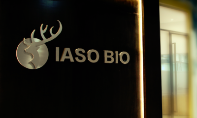 癌症创新疗法开发商“驯鹿医疗”完成6000万美元B轮融资，高瓴创投领投