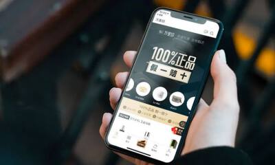 趣店罗敏的新战场：万里目