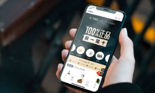 趣店罗敏的新战场：万里目