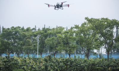 上海首个盒马村亮相：翠冠梨数字基地农民寄望“催冠离”赶走疫情