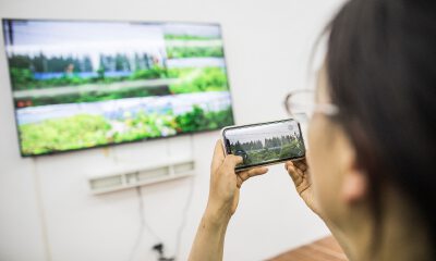 解密上海首个盒马村：无人机撒药，机器人巡逻，用手机种田