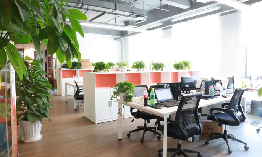 贝壳菁汇科技集团