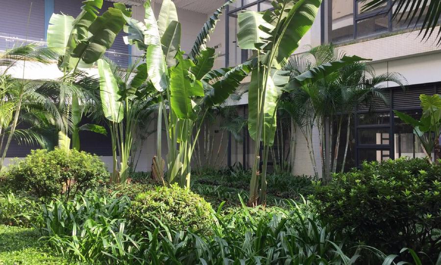 广州城投中关村e谷区块链孵化园