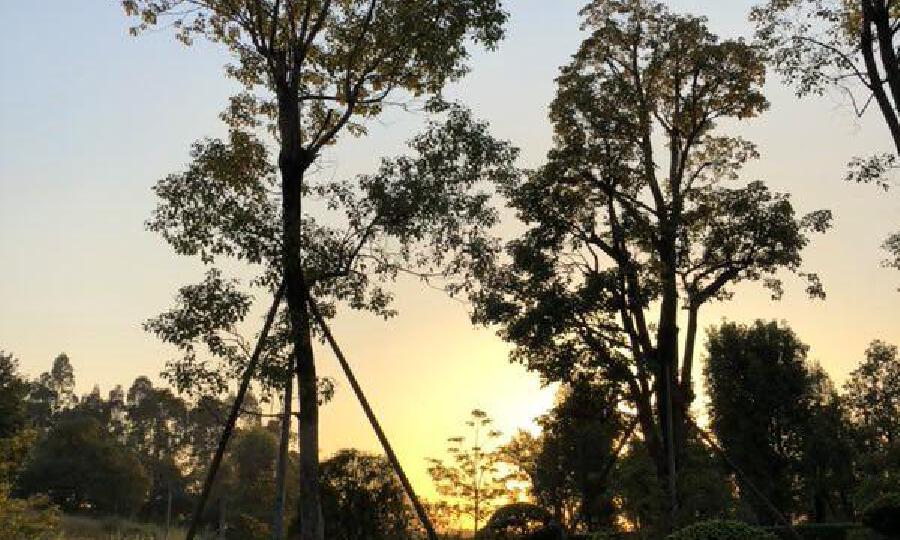 广州城投中关村e谷区块链孵化园