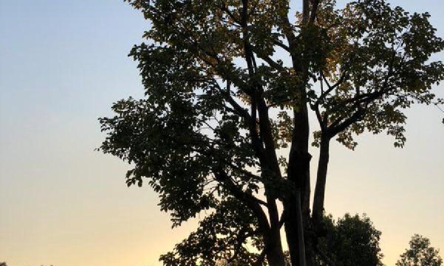 广州城投中关村e谷区块链孵化园