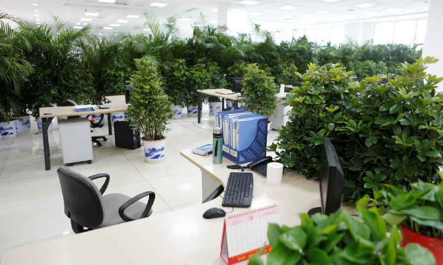 三一众创孵化器