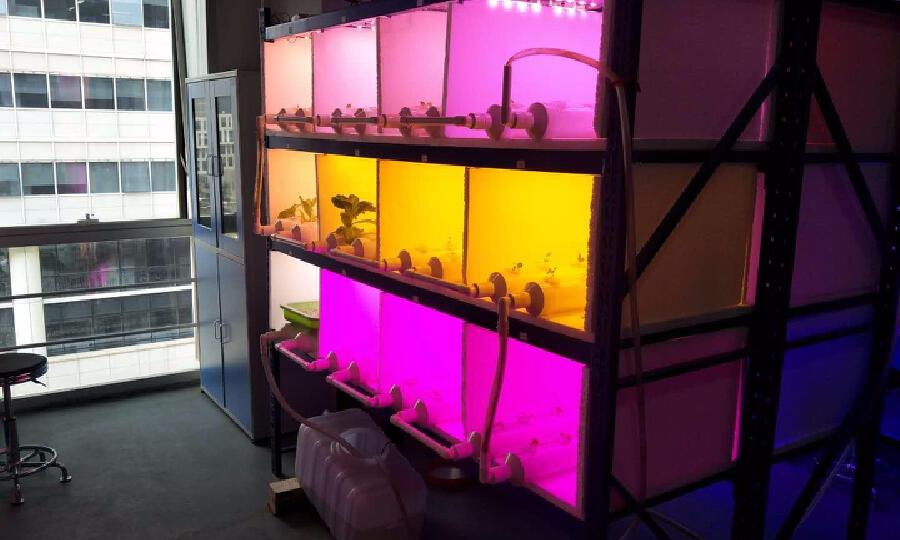 成都科愿创业孵化器