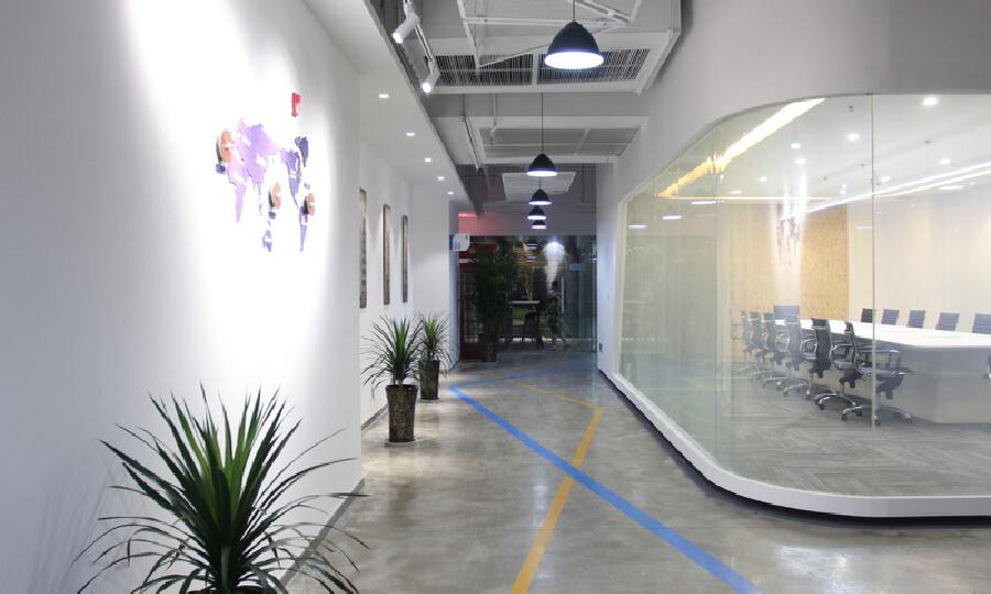 未来彩蛋创业谷