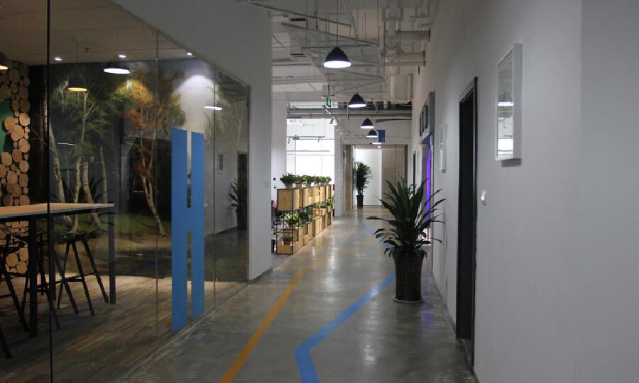 未来彩蛋创业谷