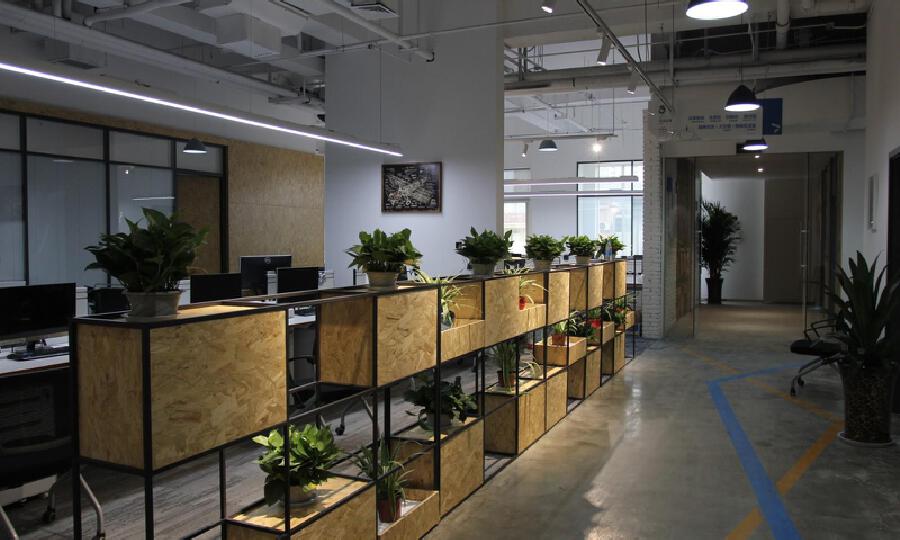 未来彩蛋创业谷