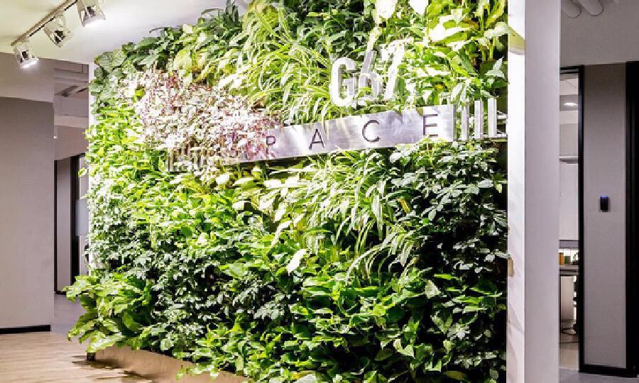 G67联合办公空间