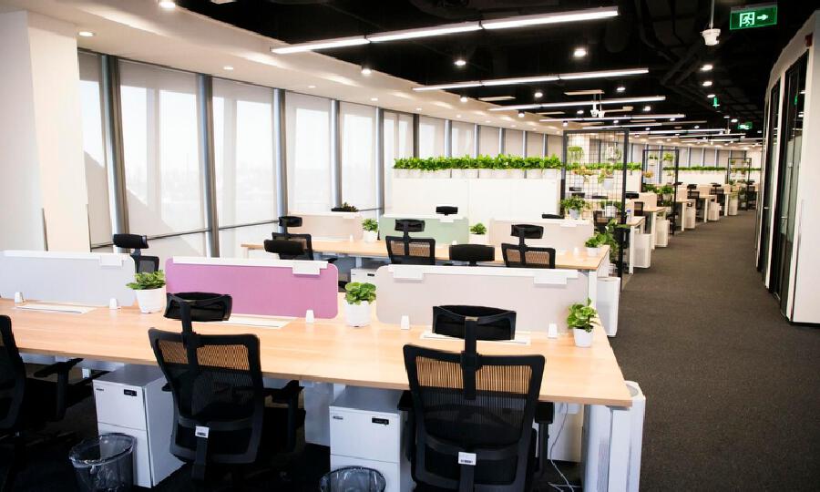 字节跳动创作空间